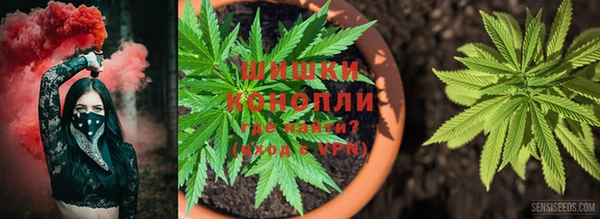 винт Алексеевка